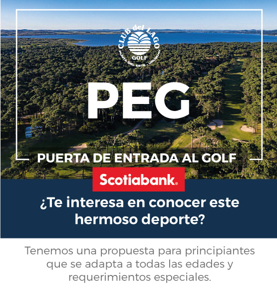 PEG-scotia